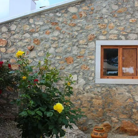 Renovated Wine Press House - With Pool Porto de Mos (Leiria)