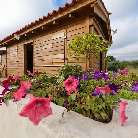 Holiday home Renovated Wine Press House - With Pool *
