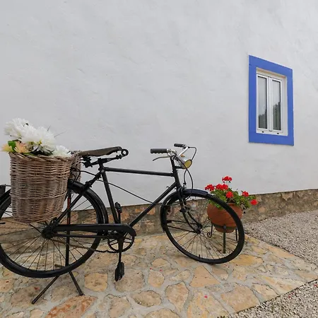 Renovated Wine Press House - With Pool Holiday home Porto de Mos (Leiria)