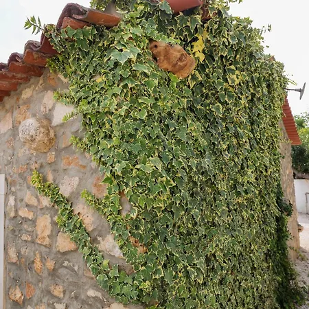 Renovated Wine Press House - With Pool Ferienhaus Porto de Mós