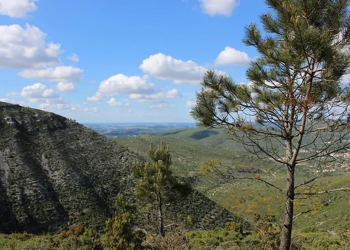 Renovated Wine Press House - With Pool