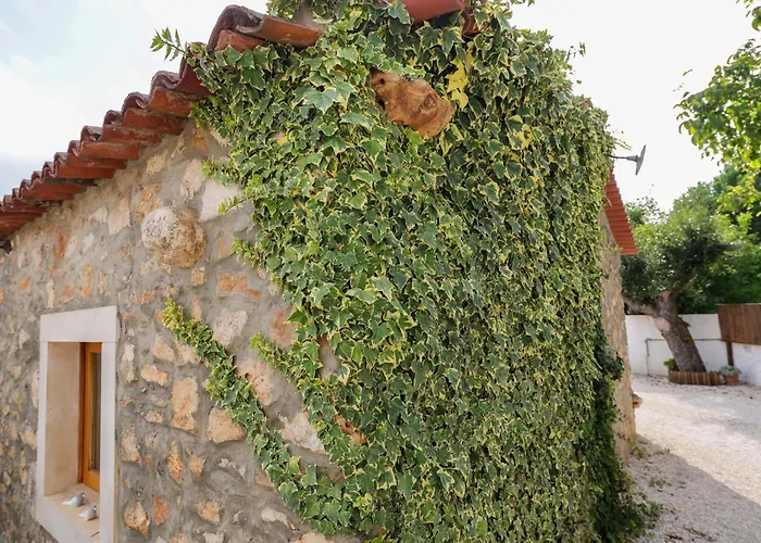 Renovated Wine Press House - With Pool Дом отдыха Порту-ди-Мош